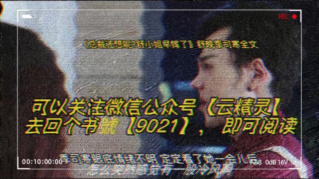 《总裁还想呢?舒小姐早嫁了》舒晚季司寒全文