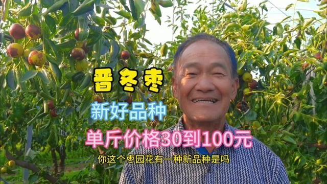 山西73岁老人发现冬枣优良品种,多次获奖,单斤价格卖到100元 #冬枣 #我为家乡农产品代言