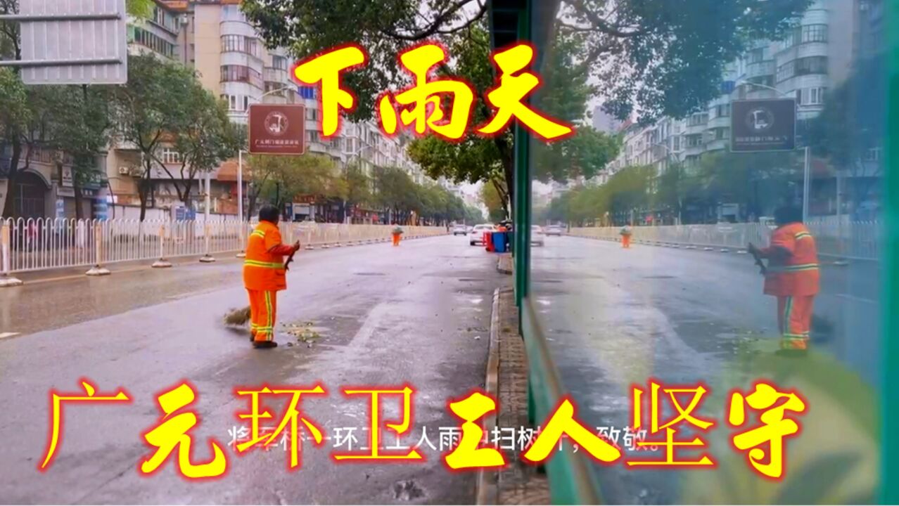 雨中最美的坚守,广元将军桥一环卫工人冒雨清扫树叶,辛苦了!