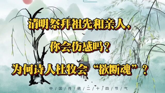 清明祭拜祖先和亲人,你会伤感吗?为何诗人杜牧会“欲断魂”?