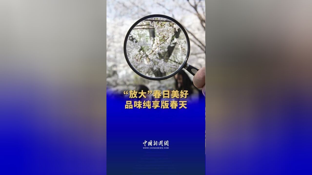 这个春天,我们“放大”美好,从不一样的角度去寻找春日的动人瞬间,一起来感受纯享版春天的美丽风景吧!