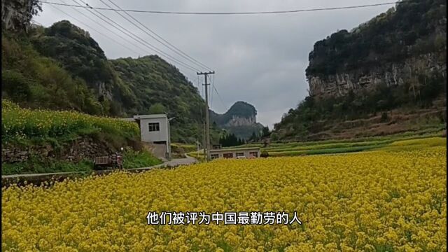 贵州安顺老家,一个古朴美丽的村子.村民们都善于经商