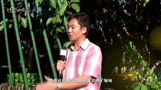 赓续友谊 开拓合作 • 缅桂香飘 友谊长存