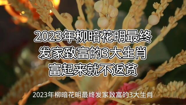 2023年柳暗花明最终发家致富的3大生肖,富起来就不返贫