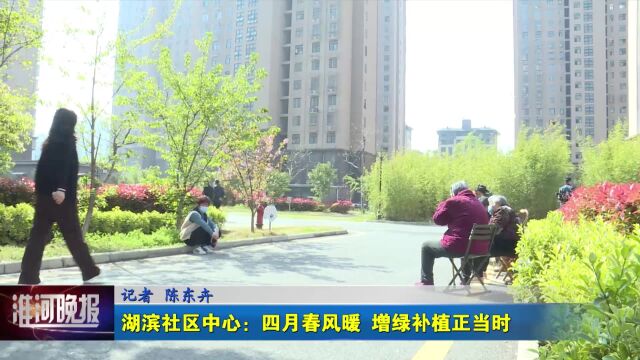 湖滨社区中心:四月春风暖 增绿补植正当时