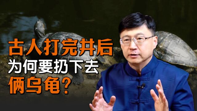 古人打完井后,为何要扔两只乌龟下去?老祖宗真是一举多得!