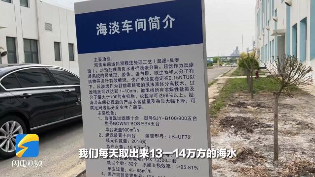 走黄渤海文化体验廊道主题采访|无棣这个海水淡化项目通过“零排放”把海水“吃干榨净”