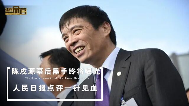 陈戌源幕后黑手终将曝光!人民日报大力出手,四字点评一针见血