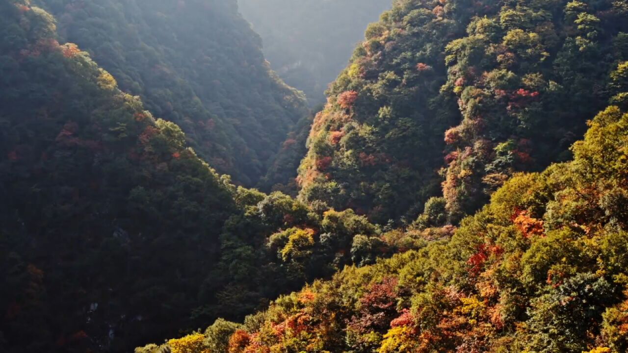 美丽山河I秦岭秋日盛景,瀑布溪流红叶交相辉映