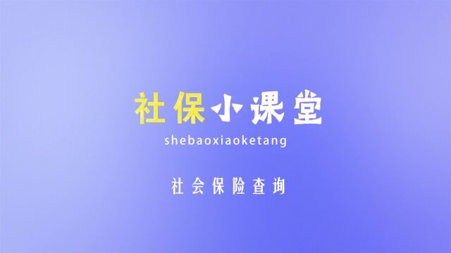 社保小课堂5社会保险查询