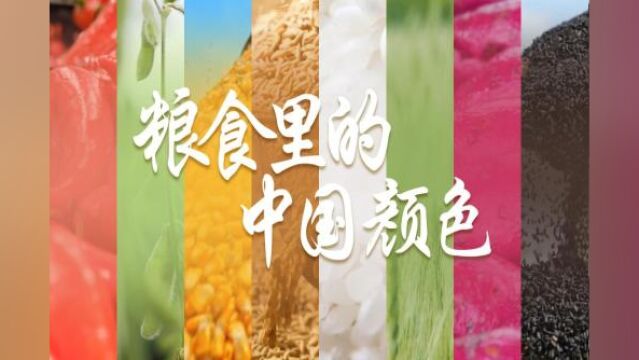 世界粮食日|粮食里的绝美中国色