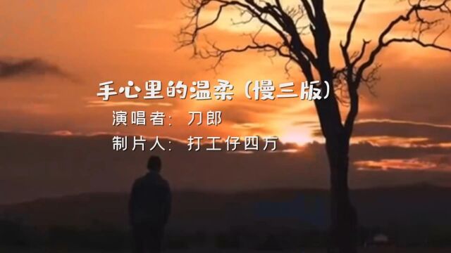 刀郎的经典歌曲