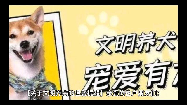 养狗的意义是什么?