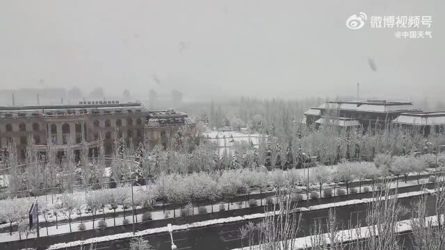 石家庄这里下雪啦!接下来中到大雪……