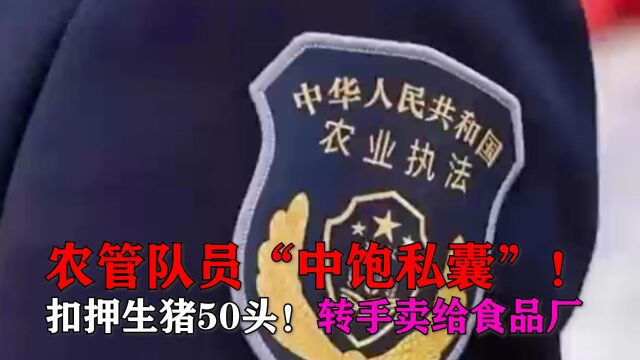 河南农管队员“中饱私囊”!扣押农民生猪50头!转手卖给食品厂