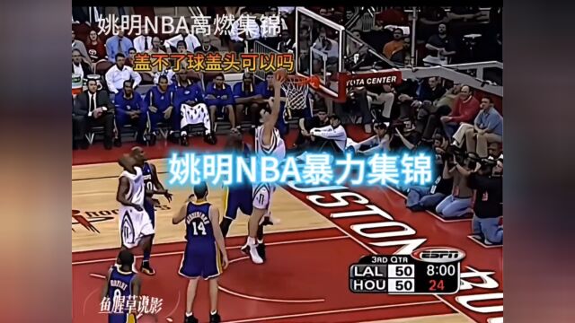 扇飞奥胖,隔扣小皇帝,邓肯....姚明NBA高燃集锦