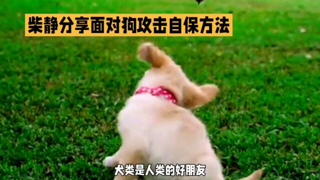 孩子被狗撕咬攻击怎么处理