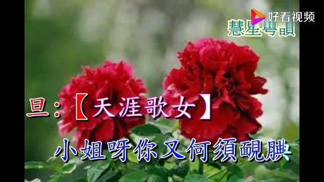 露滴牡丹开黄德正 陈曼虹