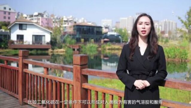 我是生态讲解员丨解读天气预报之空气质量