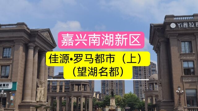 嘉兴市南湖新区二手楼盘佳源罗马都市测评