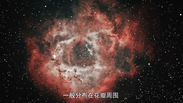 走进5200光年外的玫瑰星云,美到令人窒息!