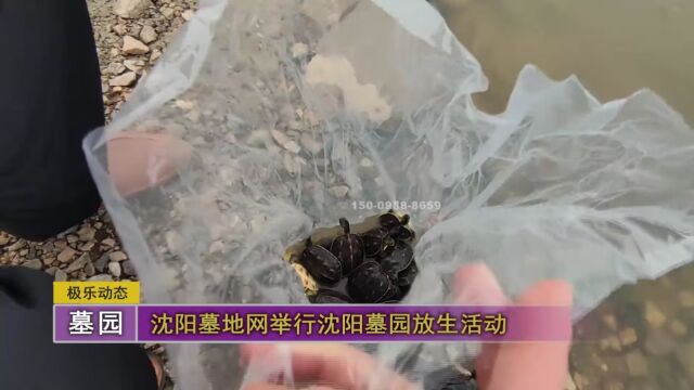 沈阳墓地网举行沈阳墓园放生活动