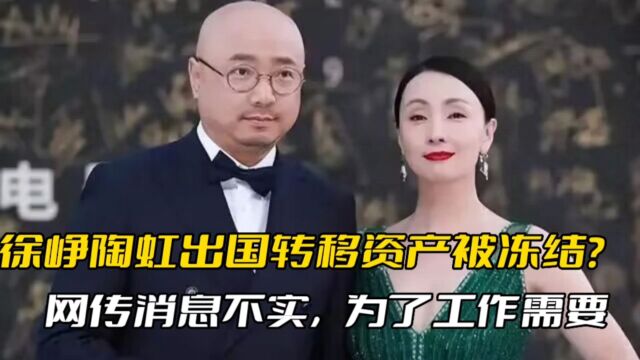 徐峥陶虹出国转移资产被冻结?网传消息不实,只是为了工作和生活