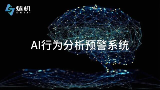 AI行为分析预警系统