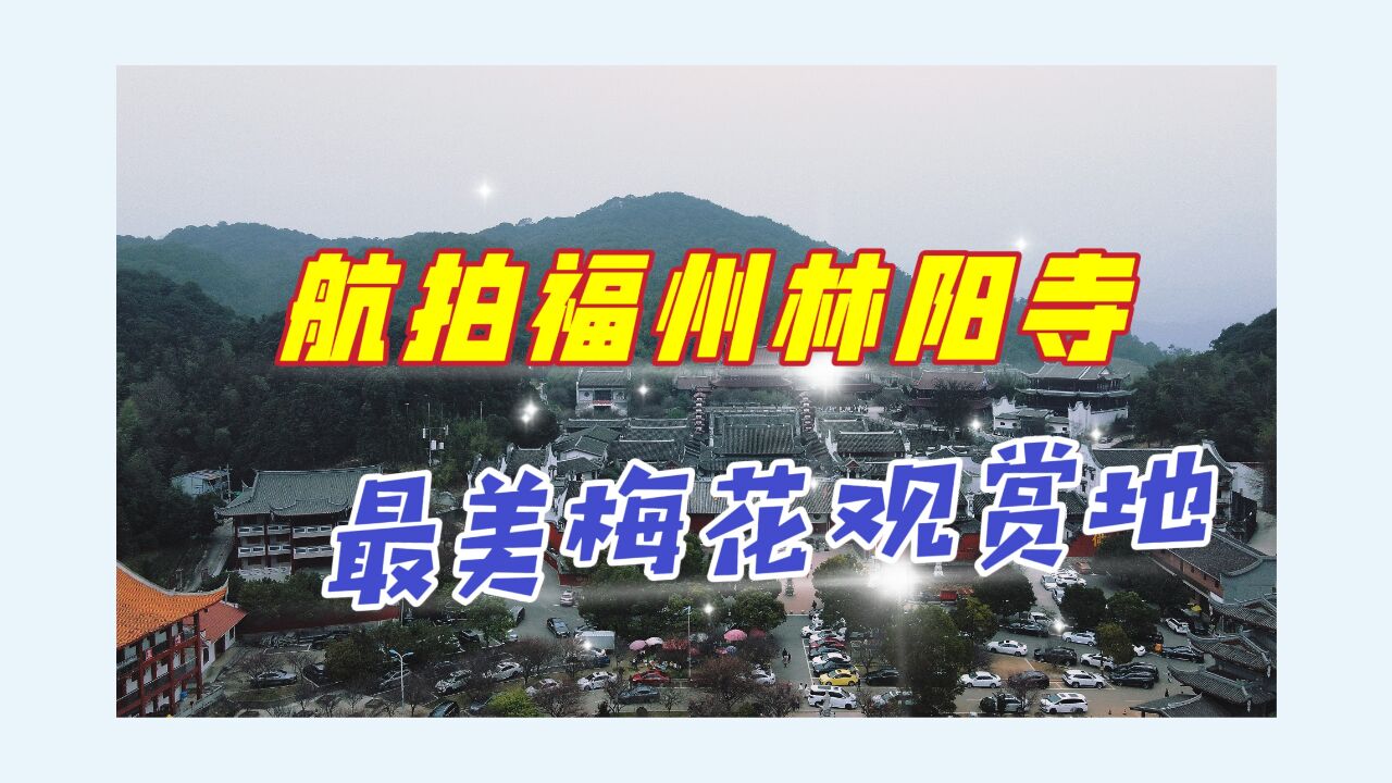 航拍福州林阳禅寺,它神秘而小众,人们来此只为一睹红梅花开盛景