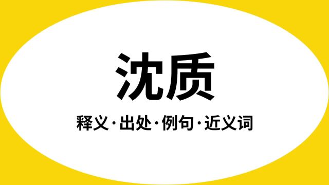 “沈质”是什么意思?