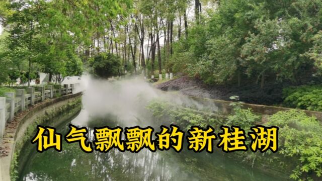 新都桂湖有2个,他们紧挨着,都是纪念杨升庵,今天介绍新桂湖