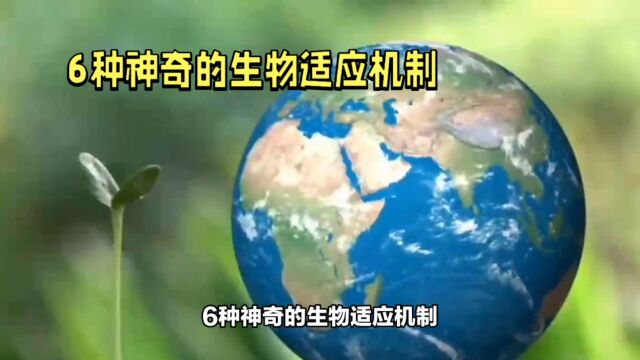 6种神奇的生物适应机制,了解3种你就是生态学家