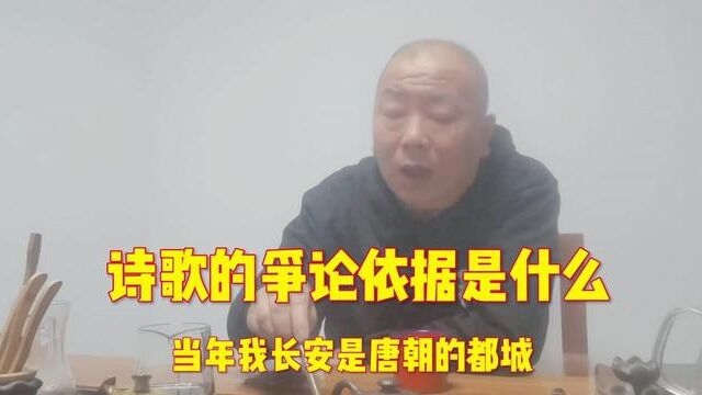 诗歌的争论 依据是什么