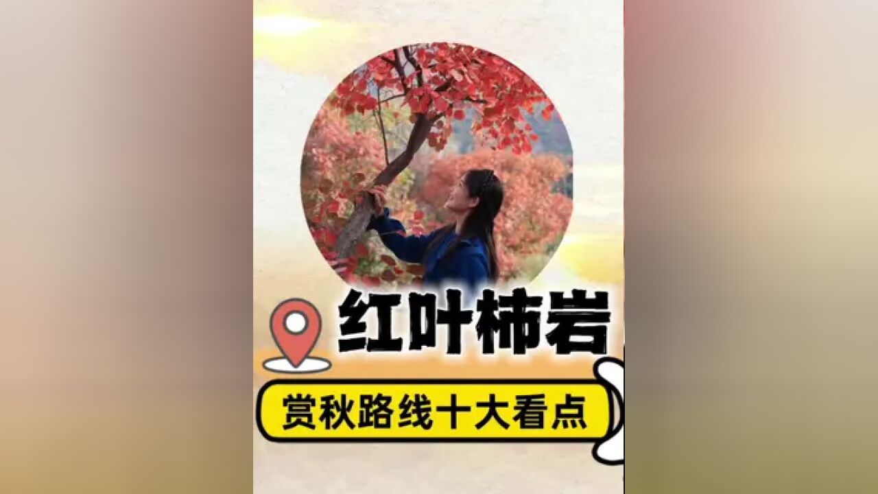 红叶柿岩秋季赏红叶游览路线:一路打卡十个看点 #长城脚下红叶浓 #浪漫漂流红叶季 #温暖淄博三柿有你