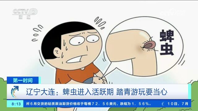 辽宁大连:蜱虫进入活跃期 踏青游玩要当心