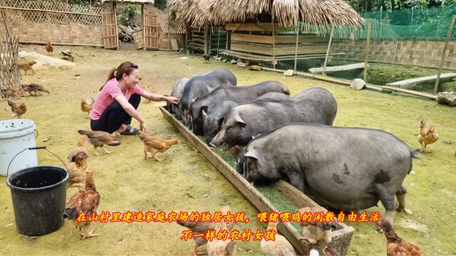 在山村里建造家庭农场的独居女孩,喂猪喂鸡的闲散自由生活,不一样的农村女孩