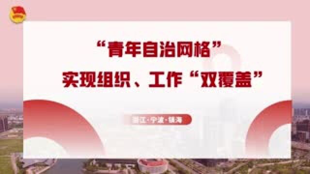 团课|宁波镇海:“青年自治网格”组织体系消除覆盖空白点