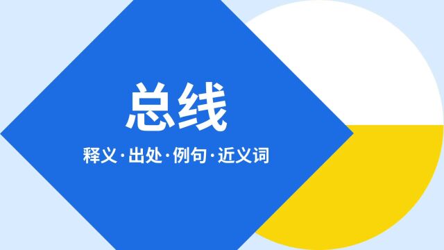 “总线”是什么意思?