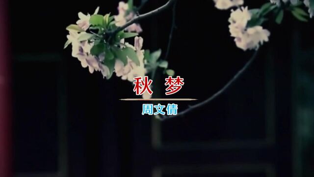 MV《秋梦》周文倩