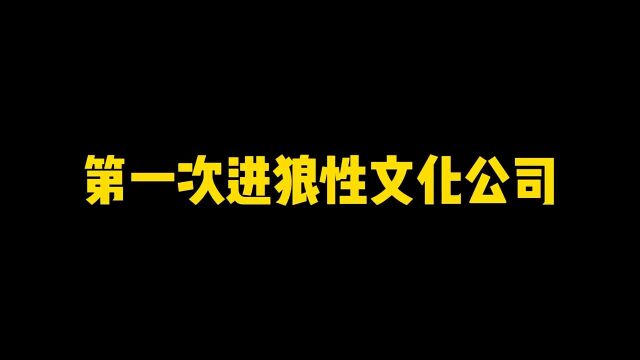 《第一次进入狼性文化公司》