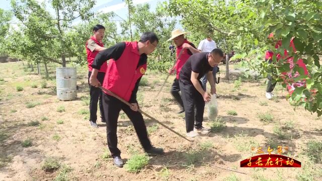 涧峪岔镇开展“青年志愿者服务队帮农助农”主题党日活动