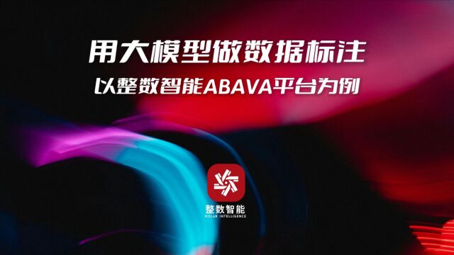 用大模型做数据标注,以整数智能ABAVA平台为例