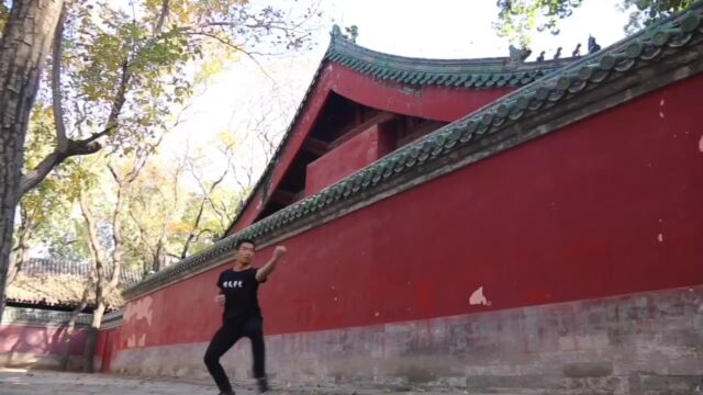 来自少林寺的王建春师父Master Wang from Shaolin Temple 