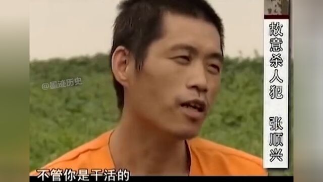 河南“最悲情”的死刑犯,8小时内连杀3人,却被网友称为真汉子!张顺兴刑事真实案件遵纪守法 2