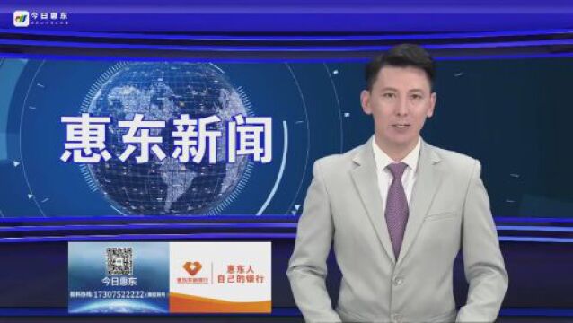 广东省领导到惠东县调研现代化海洋牧场建设工作