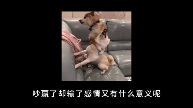 如何谈一场一辈子不分手的恋爱