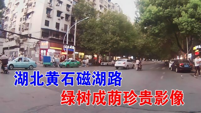 湖北黄石磁湖路,湖北师范东二门前,绿树成荫珍贵影像