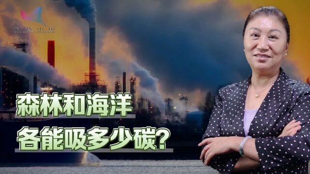 科普之窗 | 全球森林占陆地面积31%,海洋占全球面积超70%,哪个能吸收更多二氧化碳?