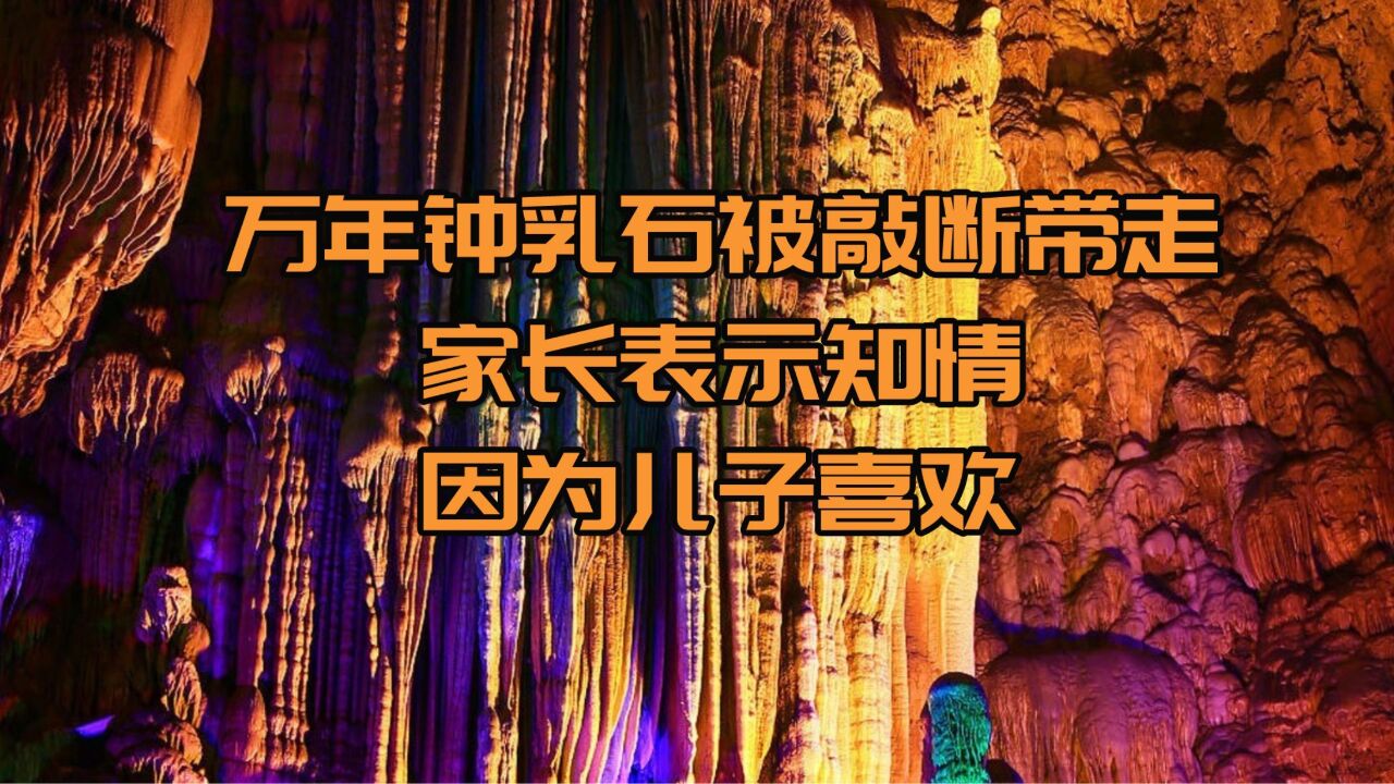 万年钟乳石被敲断带走,家长表示知情,因为儿子喜欢