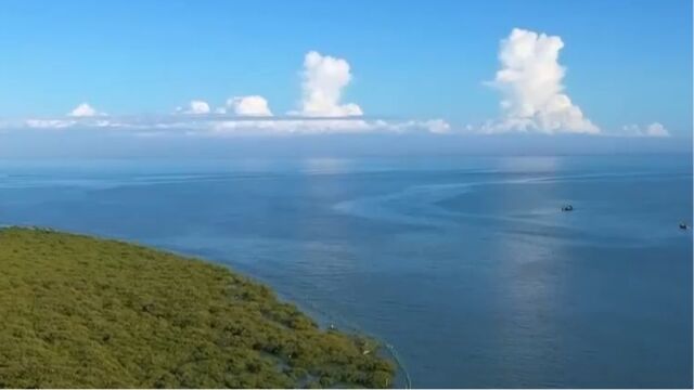 局部地区生态破坏问题突出